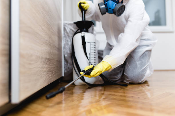 Best Affordable Pest Control Services  in Oglethorpe, GA