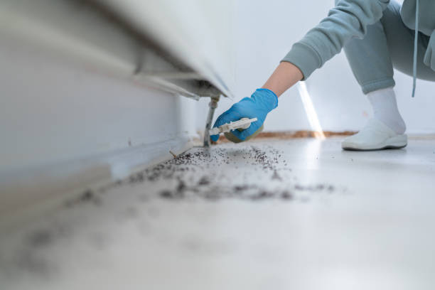 Best Local Pest Control Services  in Oglethorpe, GA